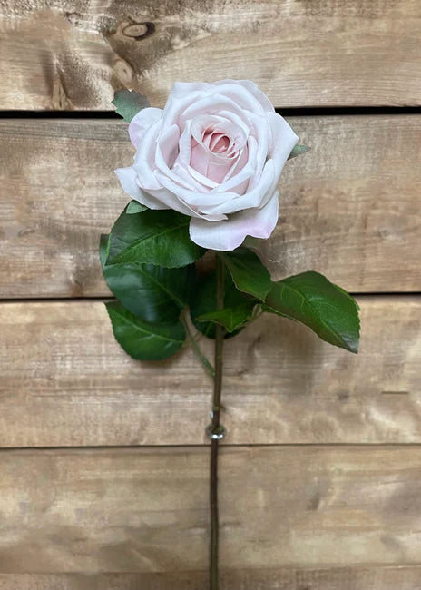 BLUSH FRESH TOUCH VIENNA ROSE SPRAY