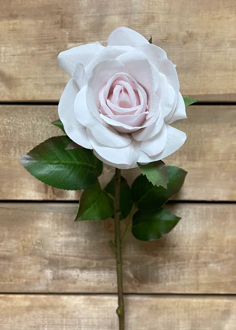 BLUSH FRESH TOUCH ROSE SPRAY