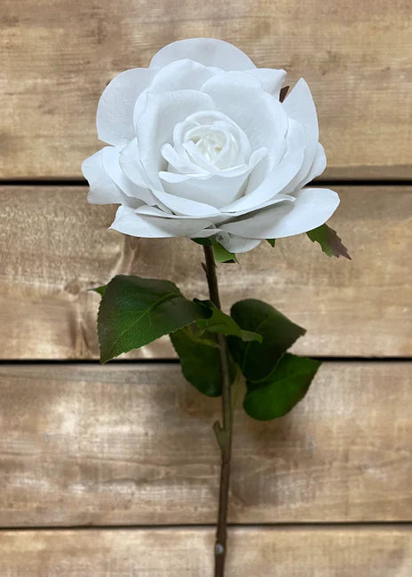 SPRAY FRAÎCHEUR À LA ROSE BLANCHE