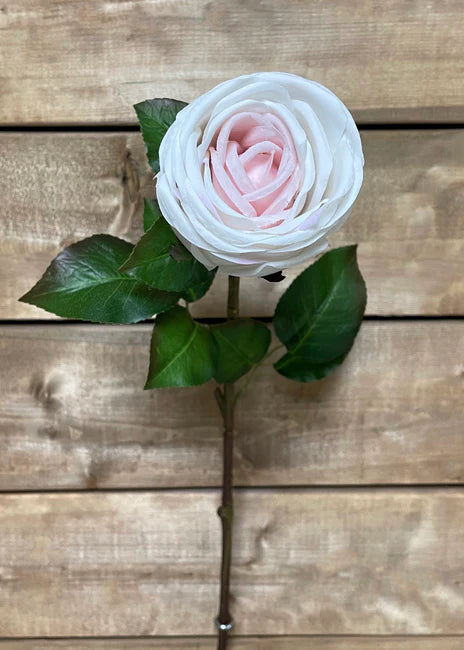 BLUSH FRESH TOUCH CABBAGE ROSE SPRAY