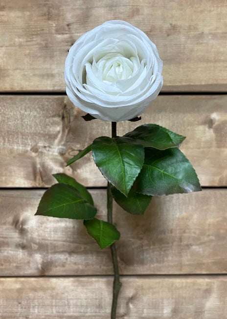 SPRAY DE ROSIER CHOU WHITE FRESH TOUCH