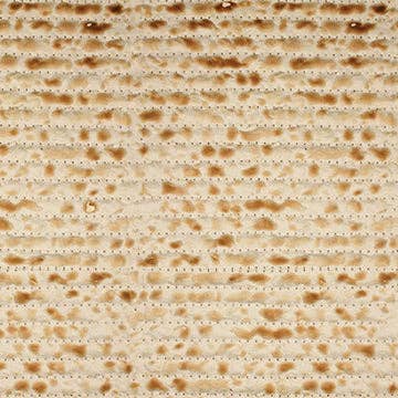 Matzoh Cocktail Napkin