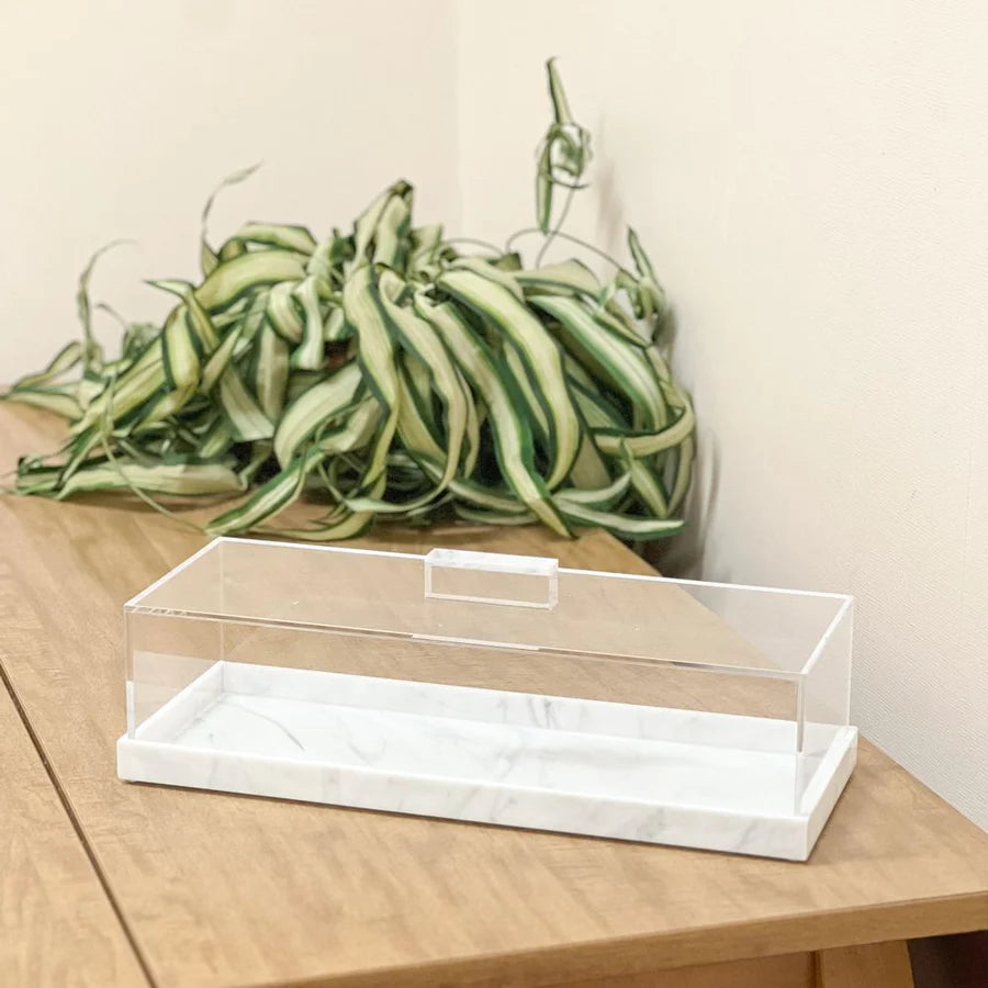 Lucite Tray with white marble base