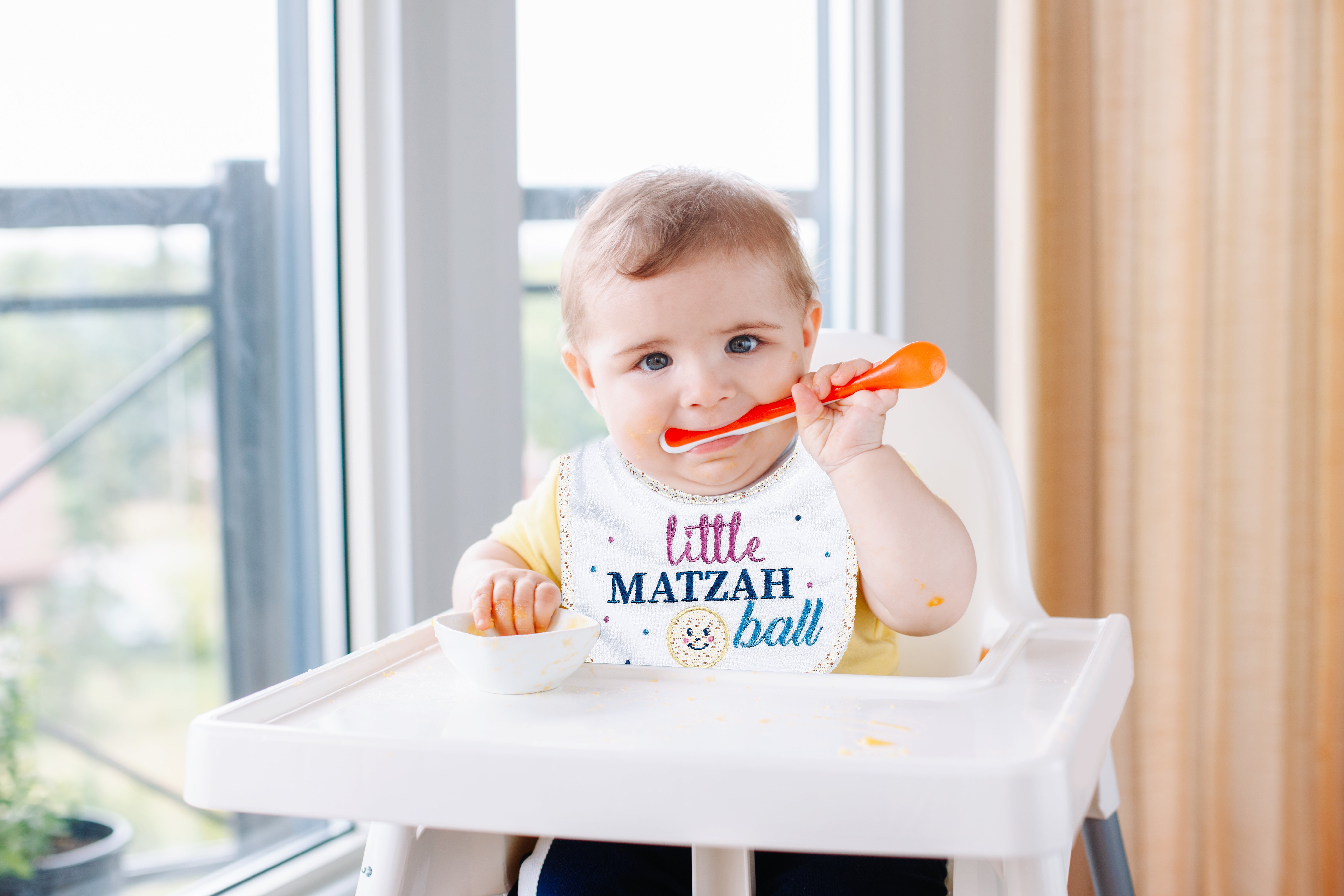 "Little Matzah Ball" Embroidered Passover Bib