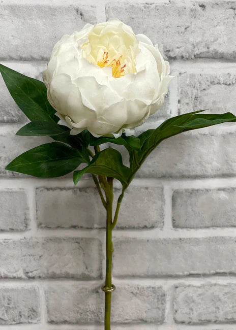 Spray pivoine blanche Fresh Touch