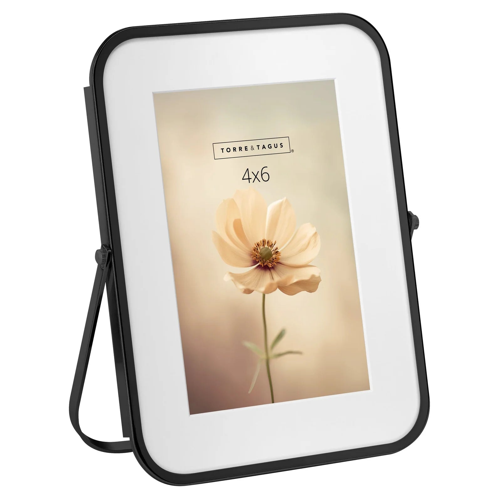 metal curved trim matte photo frame - black 4x6