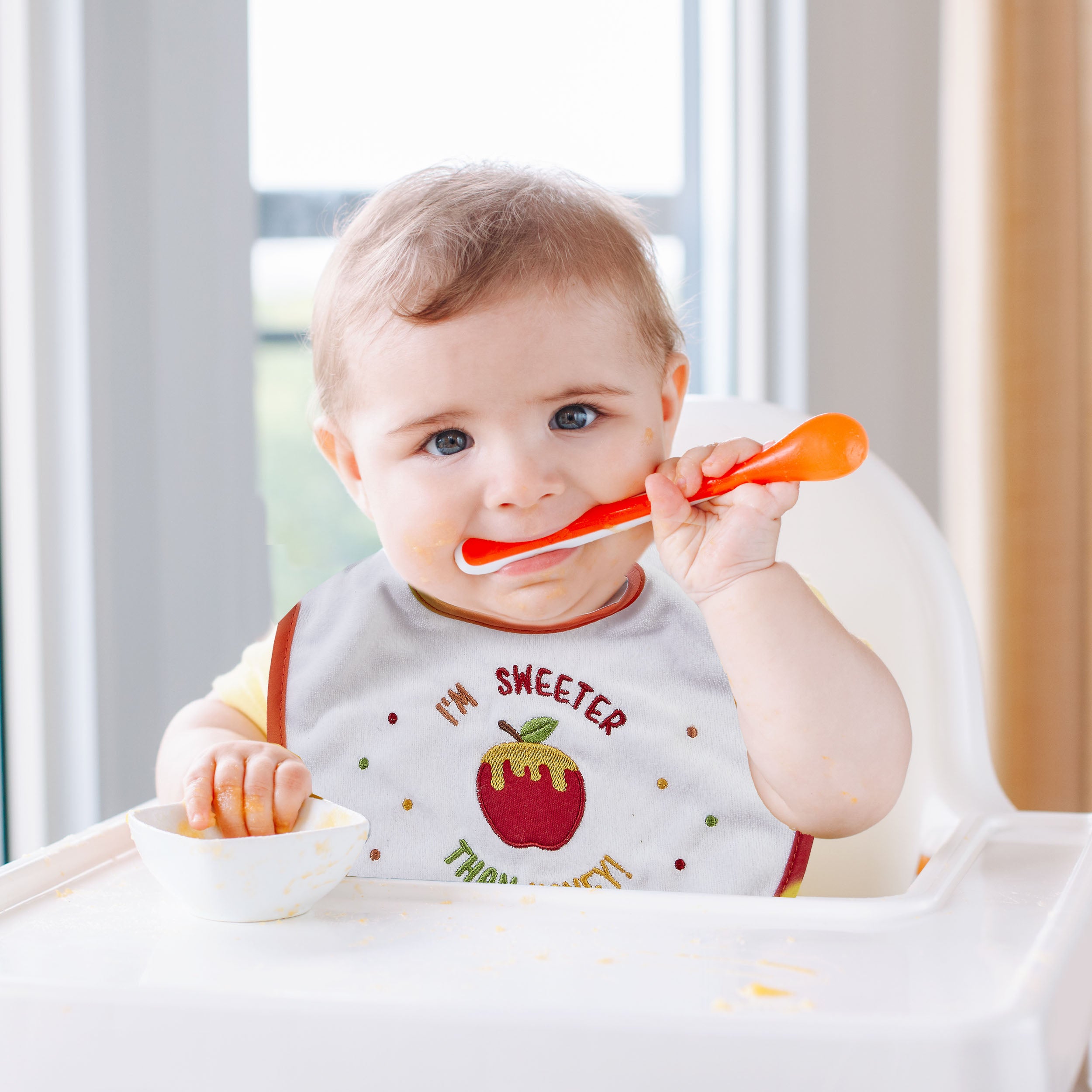 Embroidered Rosh Hashanah bib