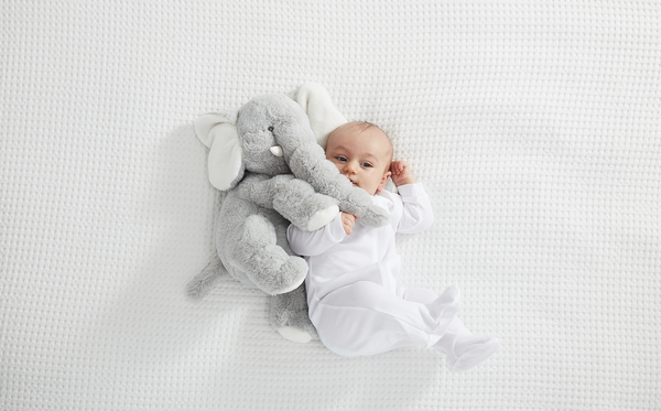 Jellybean Elephant - Gris