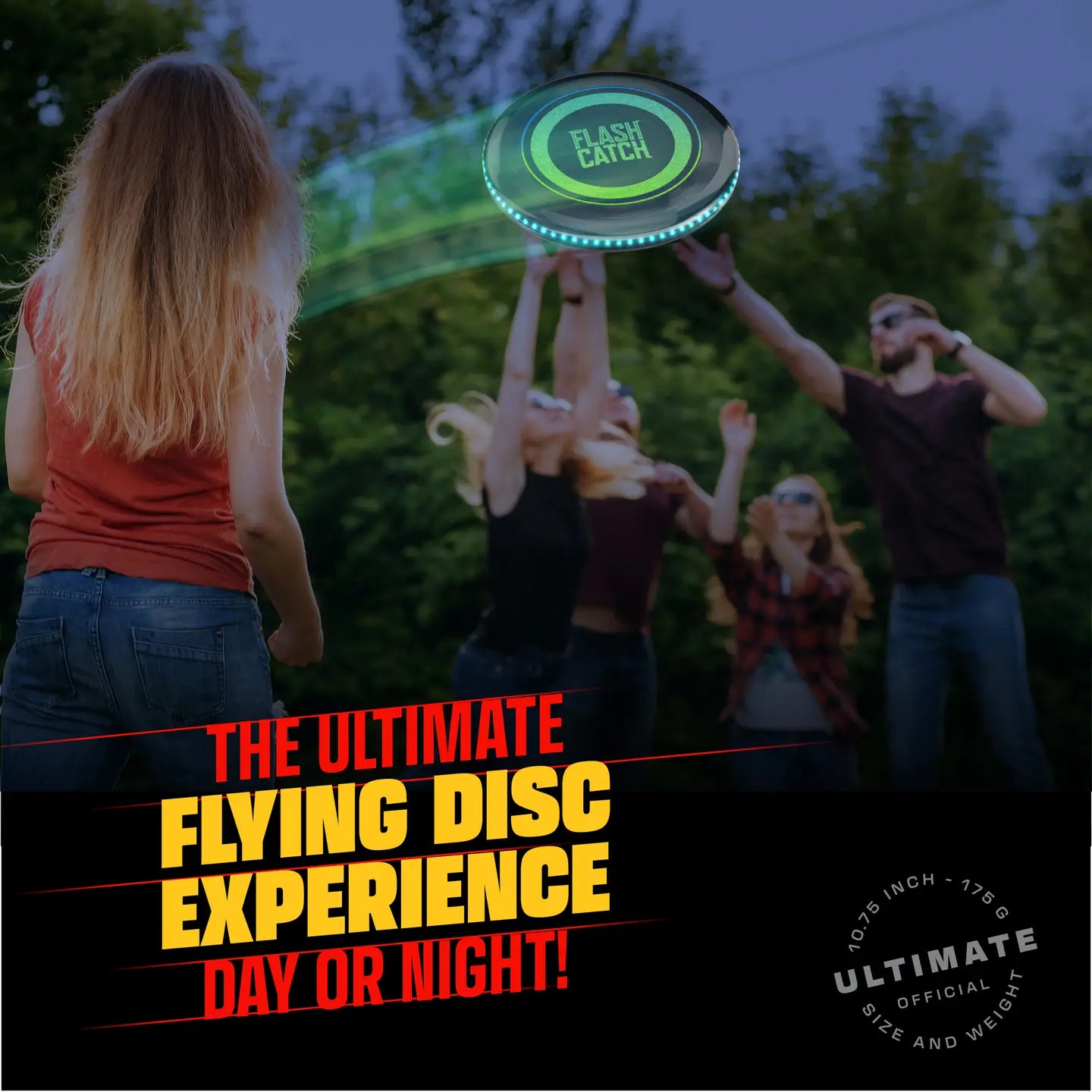 Light Up Glow in the Dark frisbee