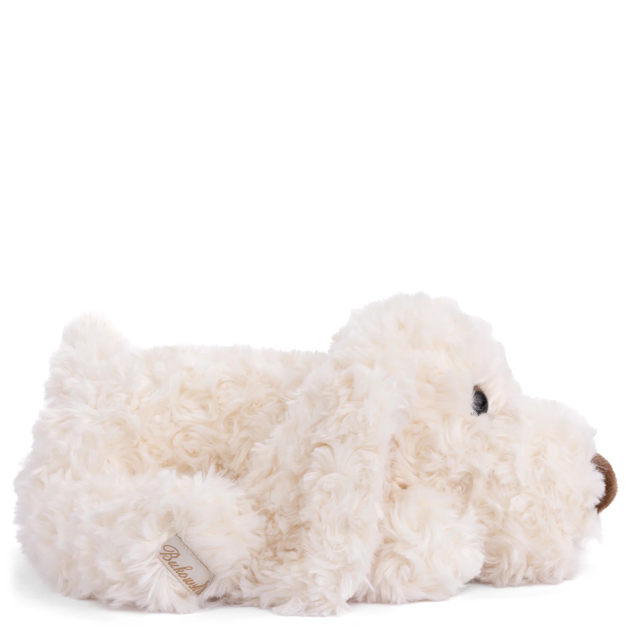 Hugo white fluffy dog