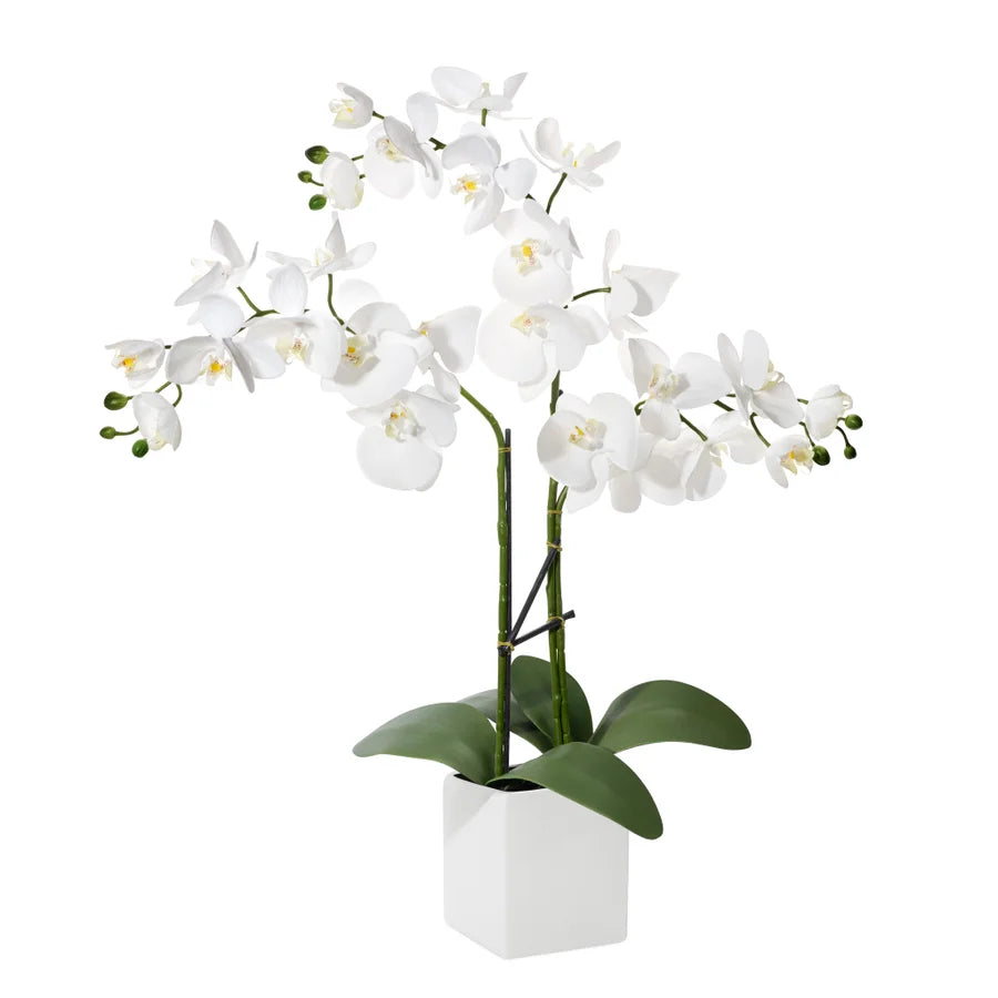 Orchid Potted Faux Triple Stem 23" - White