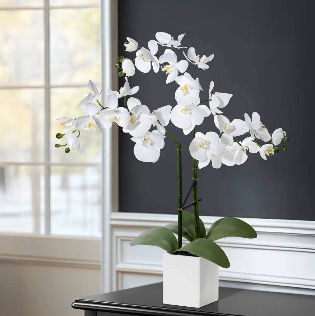 Orchid Potted Faux Triple Stem 23" - White