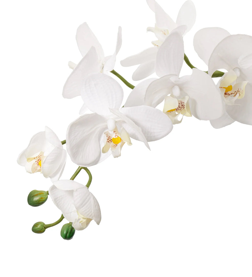 Orchid Potted Faux Triple Stem 23" - White