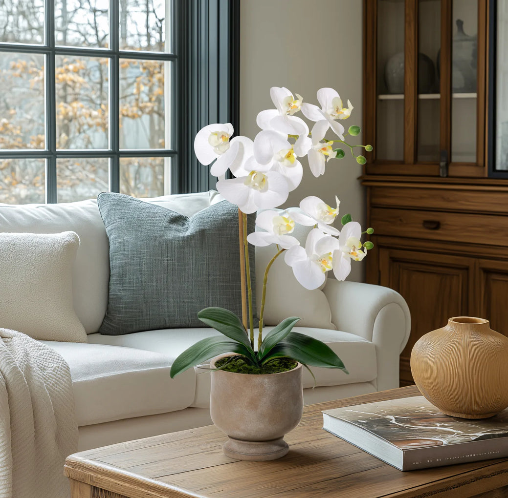 Orchidée en pot au toucher réaliste - 22H”