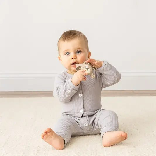 molar teether - puppy