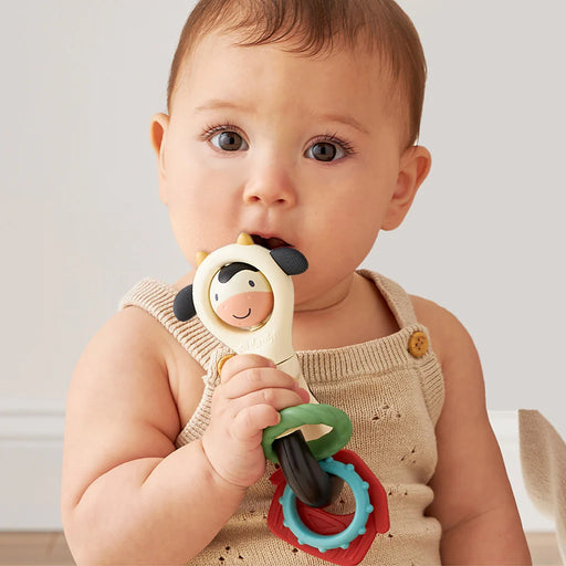 Itzy Spinner - sensory teething rattle