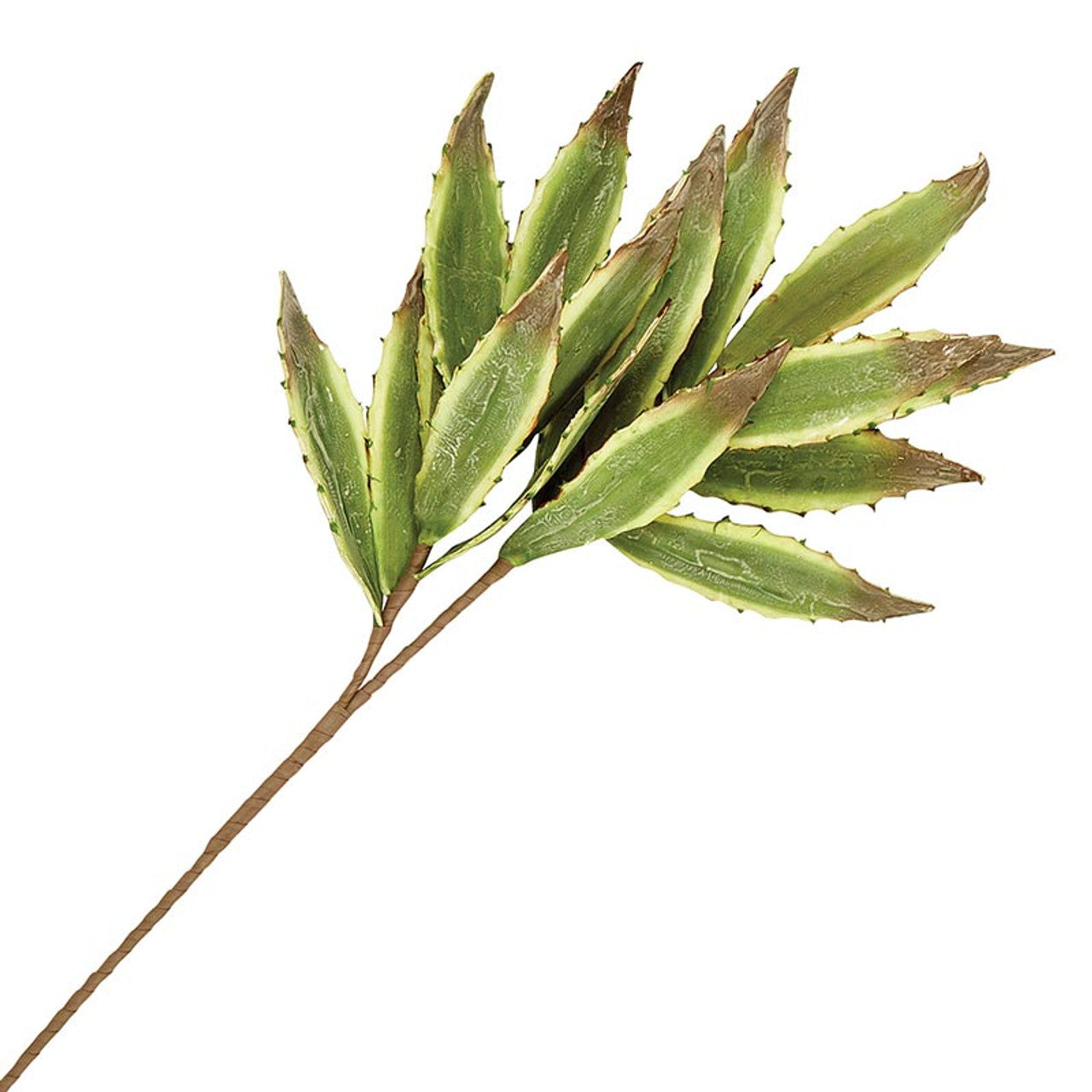 Cactus leaf artificial stem