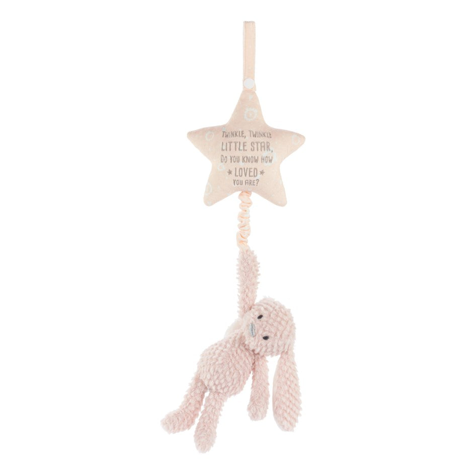 Jouet musical à tirer - Lapin