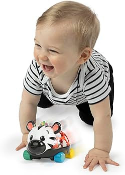 Baby Einstein Car + Rattle