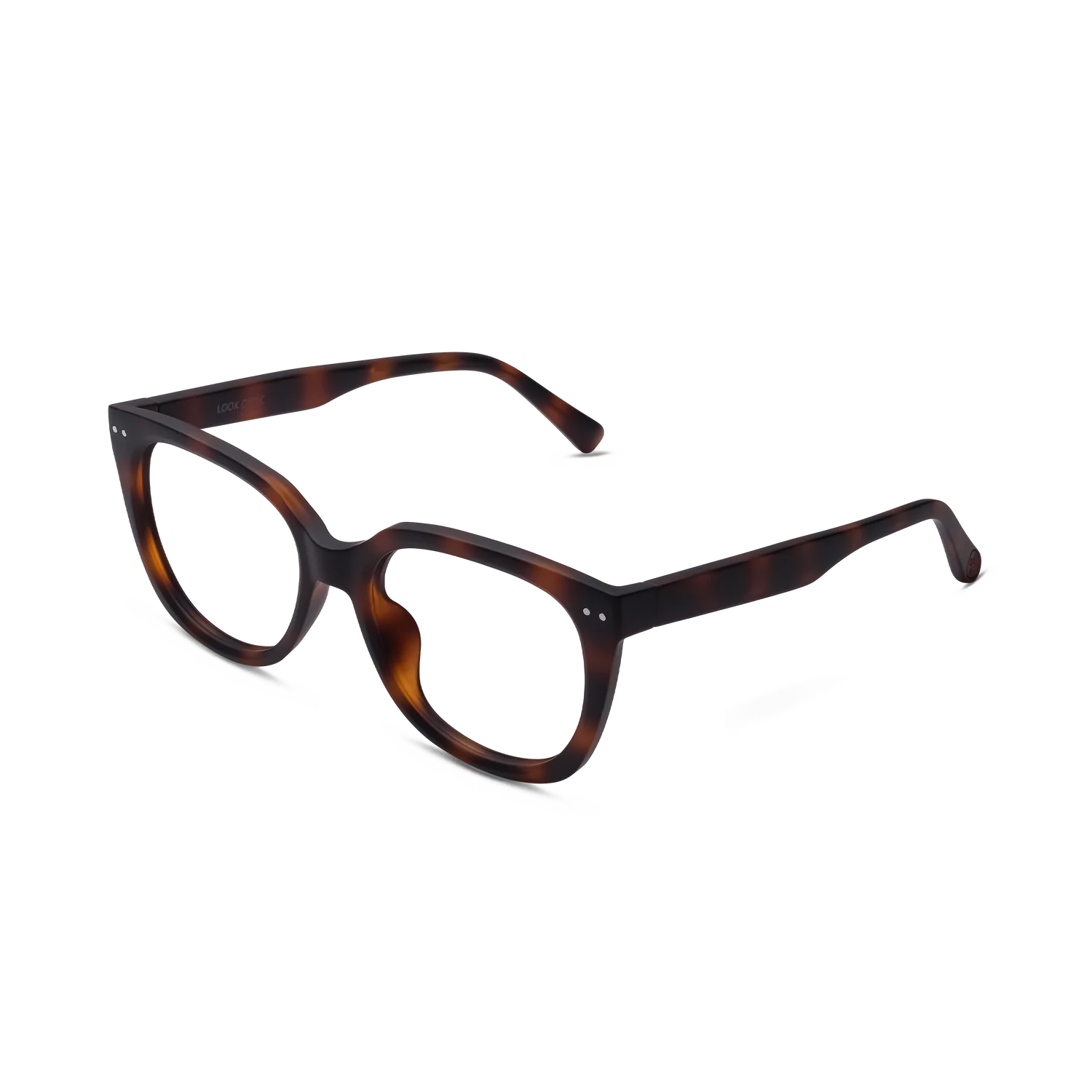 Lecteurs EVITA - Tortue