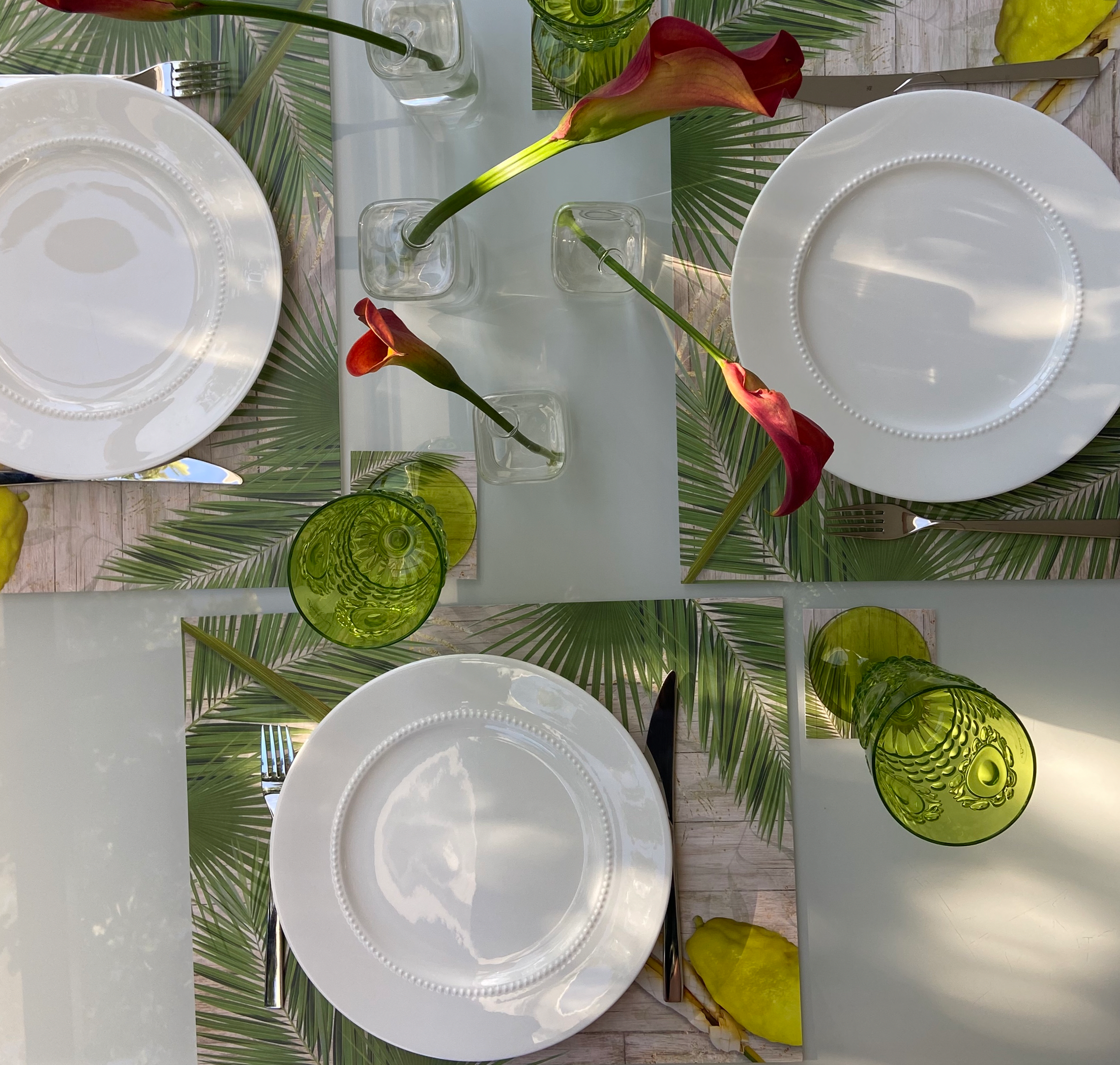 SUKKOT PAPER PLACEMATS and coasters SET OF 12