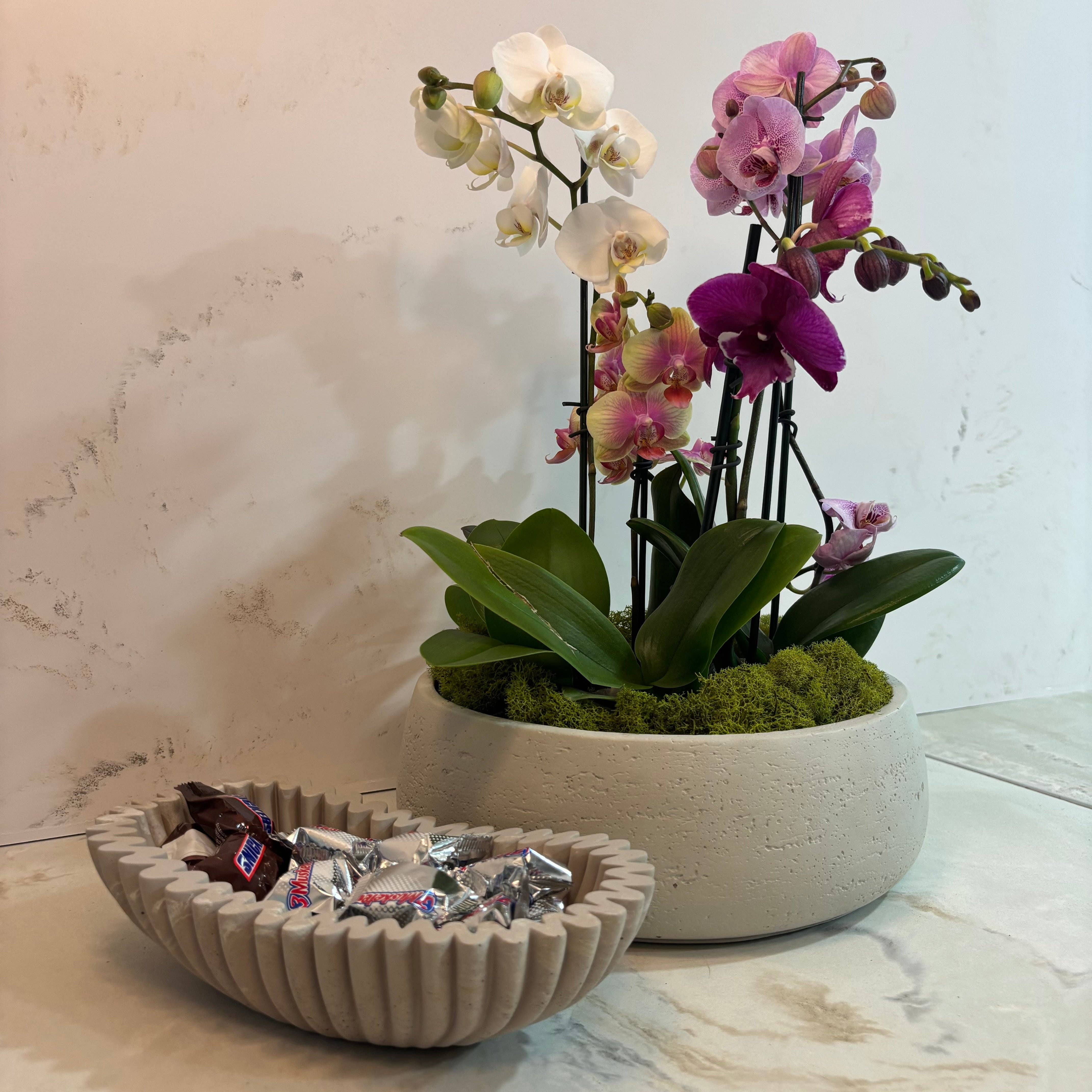 Taupe marble concrete Oval Fluted Bowl