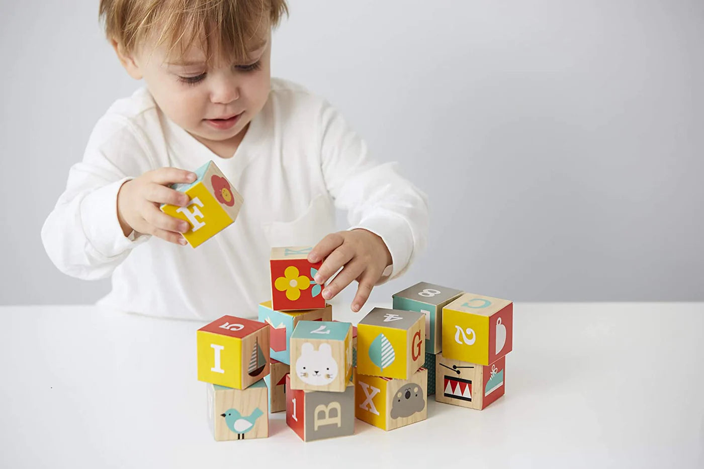 Toddler Puzzles, Toys & Games