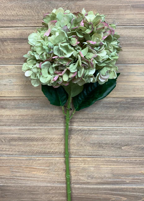 GREEN BURGUNDY DRIED LOOK HYDRANGEA SPRAY