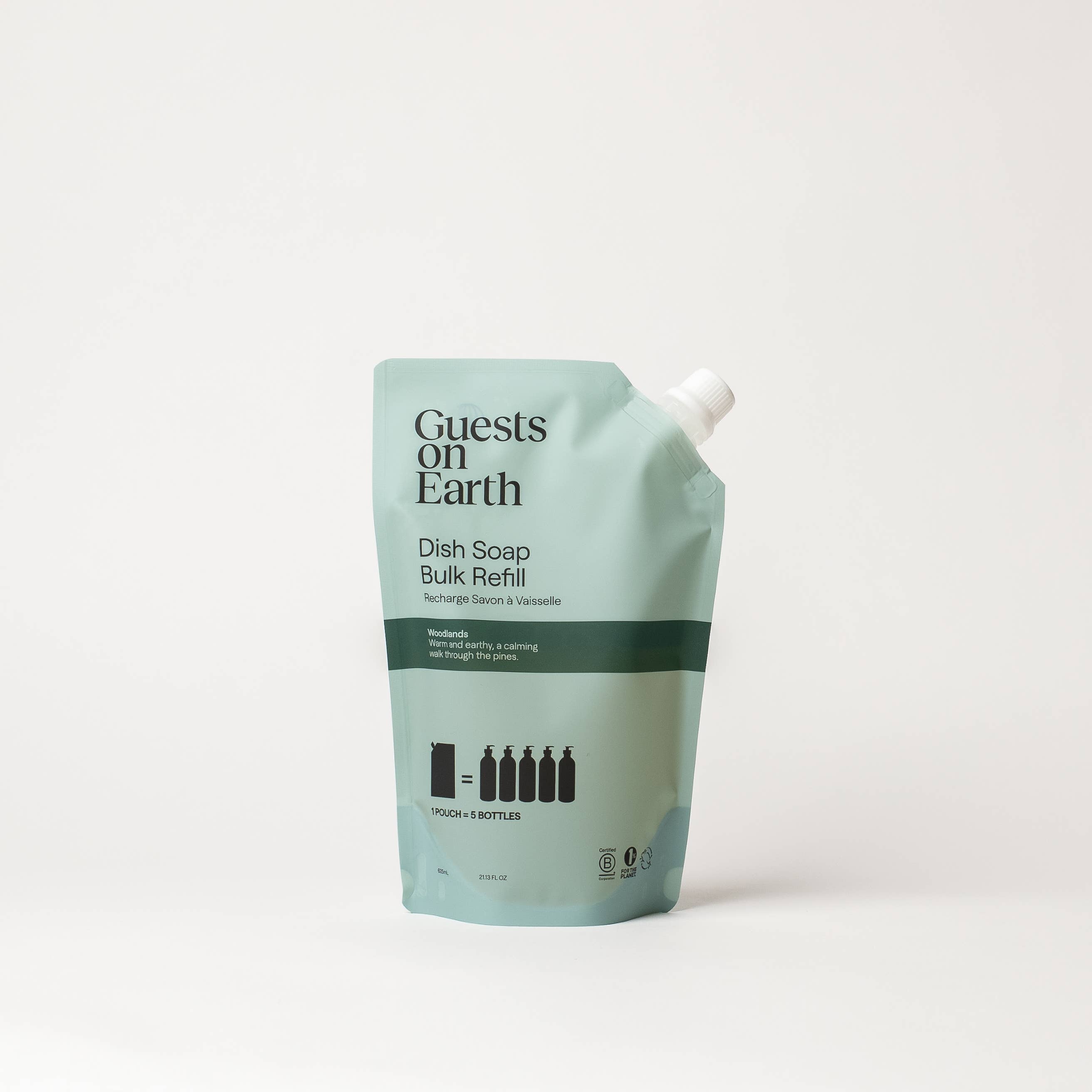Guests on Earth Dish Soap Bulk Refill