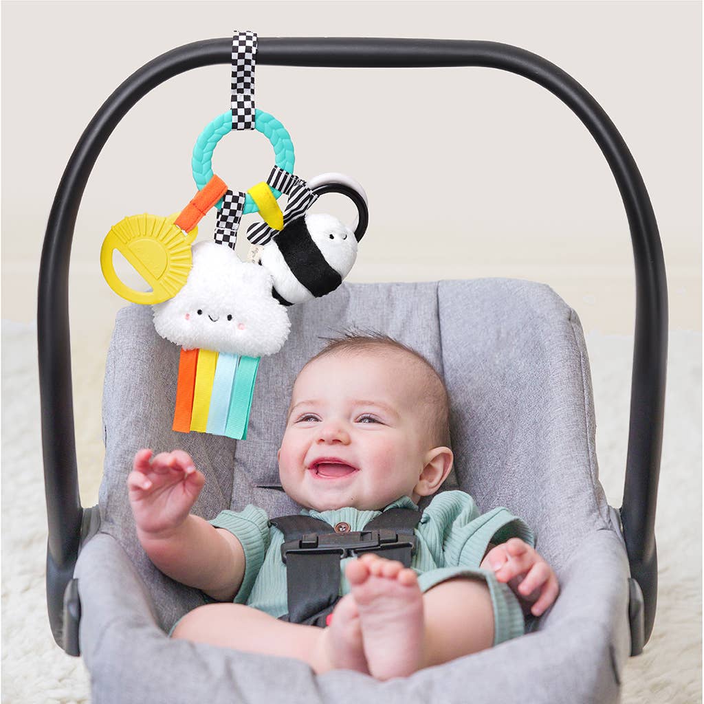 Busy Ring high contrast Teething Activity Toy