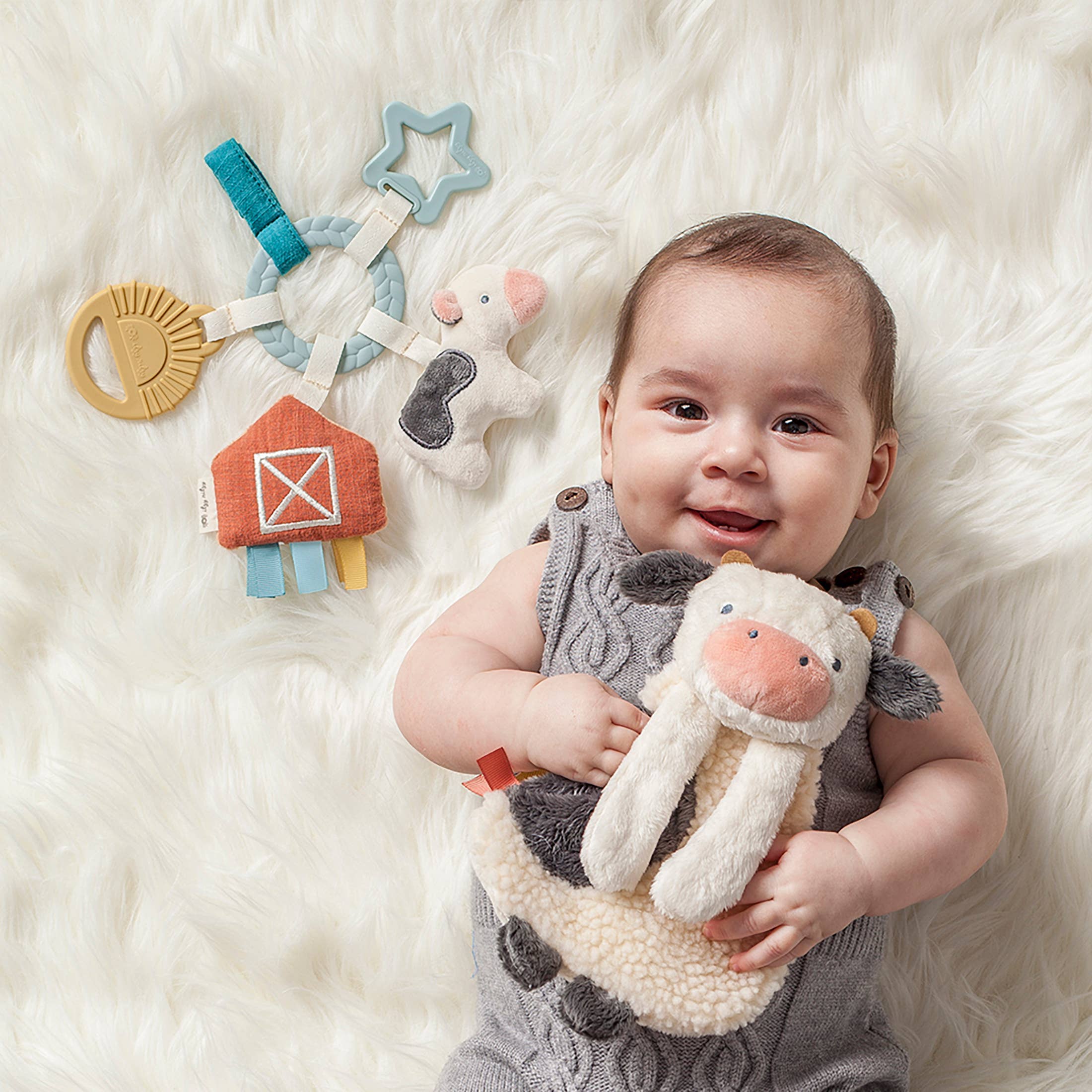 Lovey and teether farm Gift Set