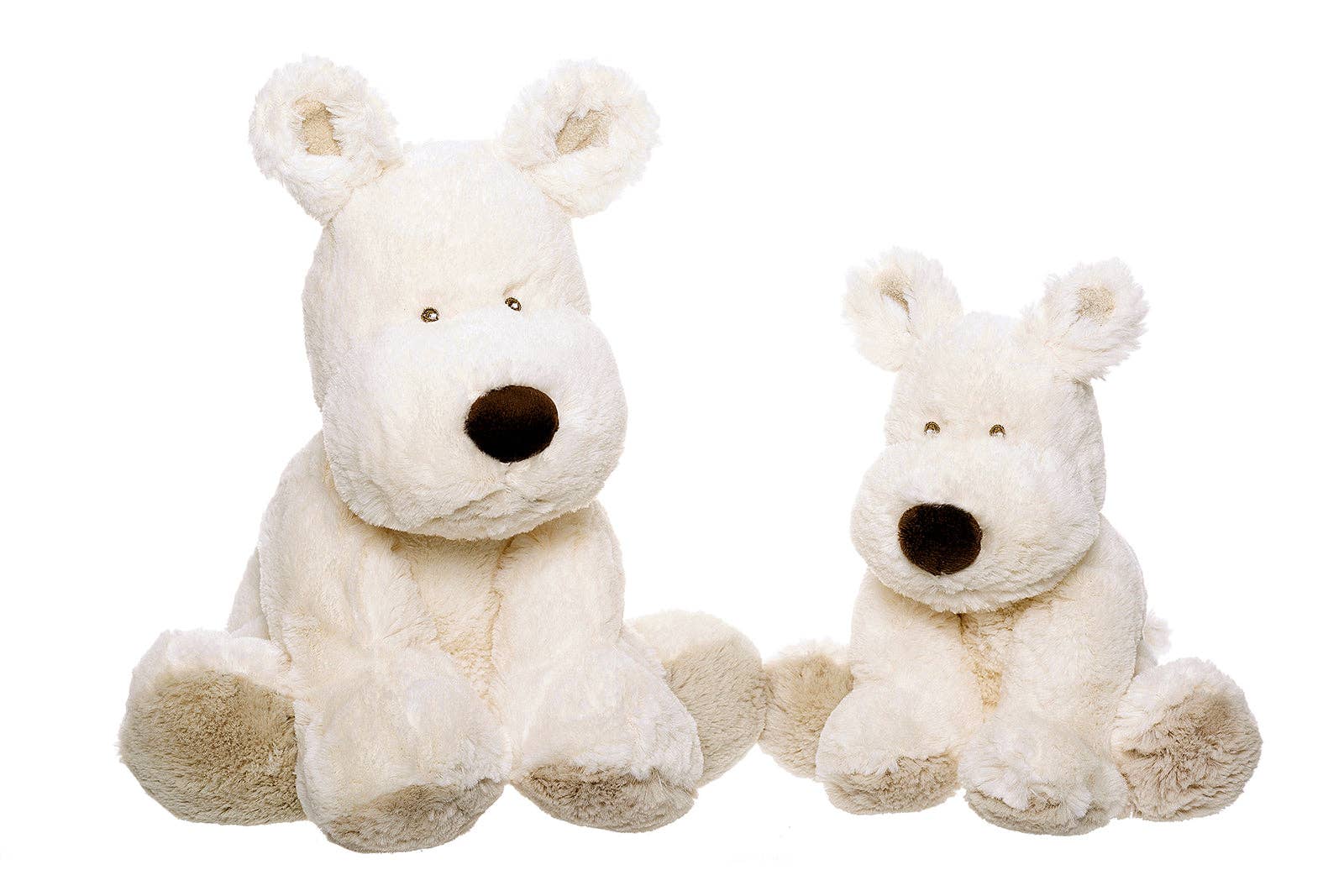 Medium Dog teddy - White