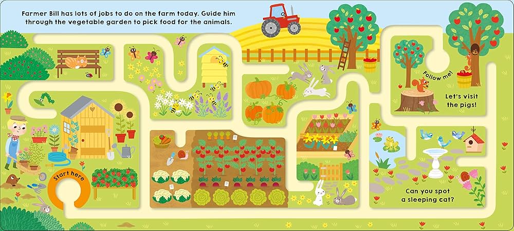 Follow Me Farm: Maze book