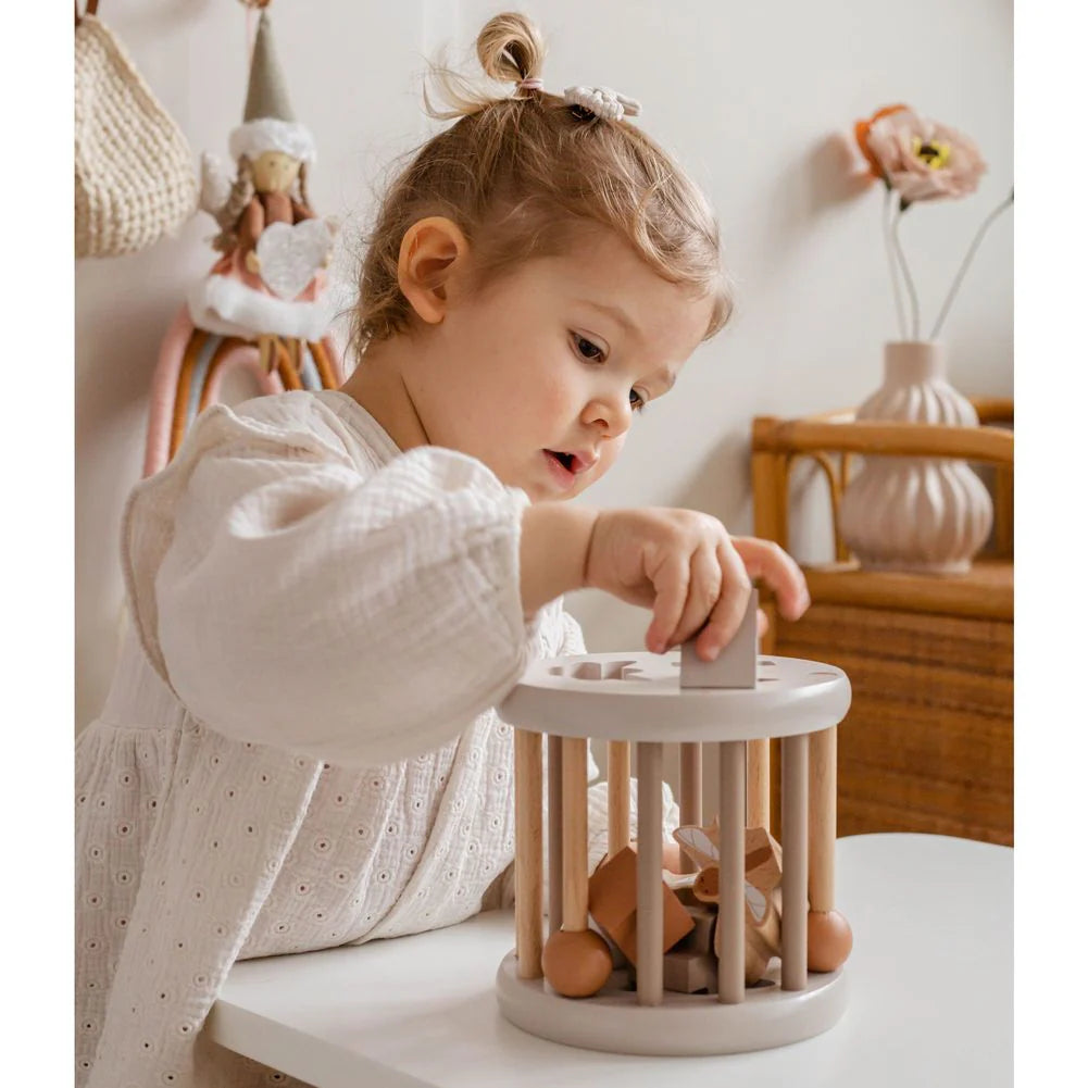 Shape sorting wheel