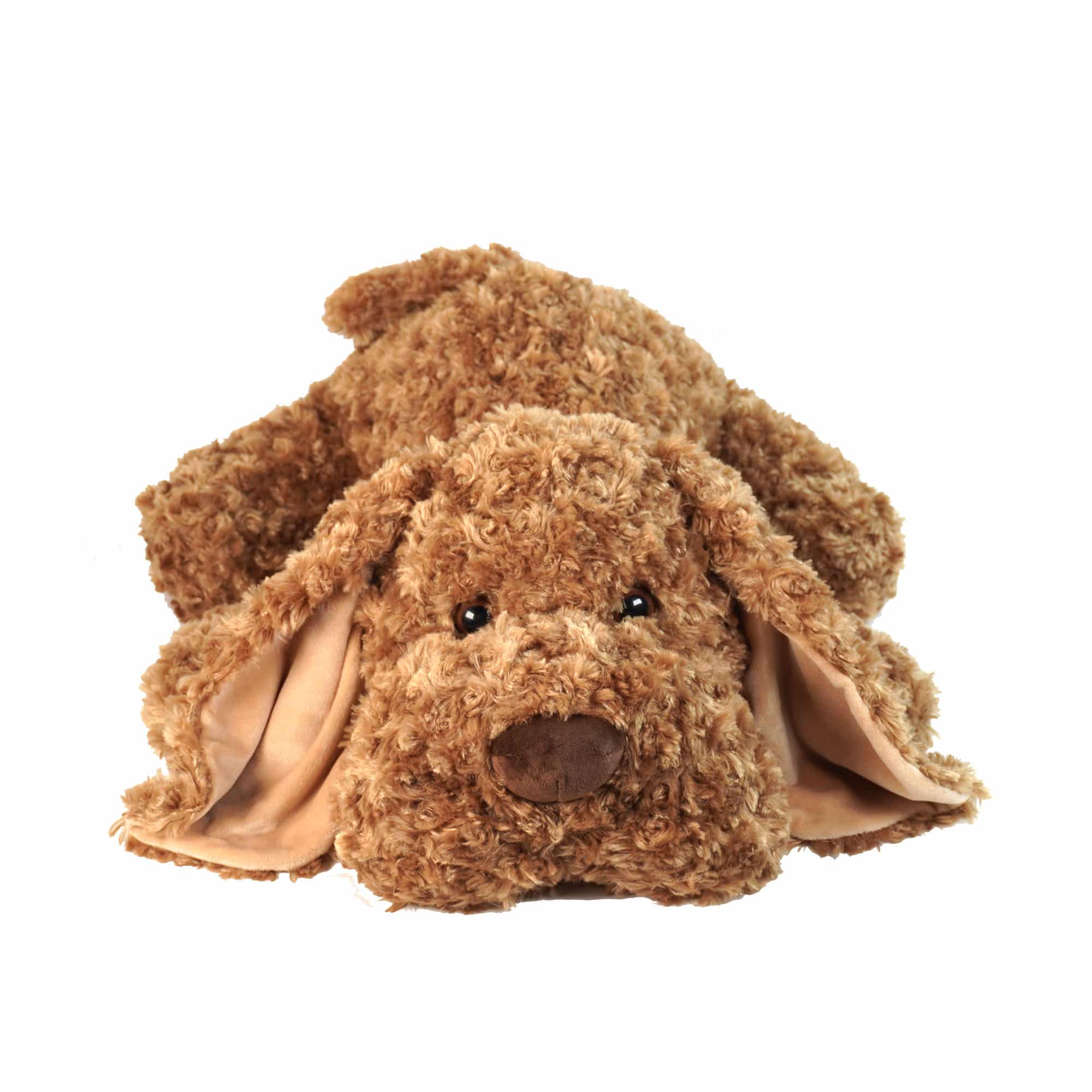 Manfred brown fluffy dog