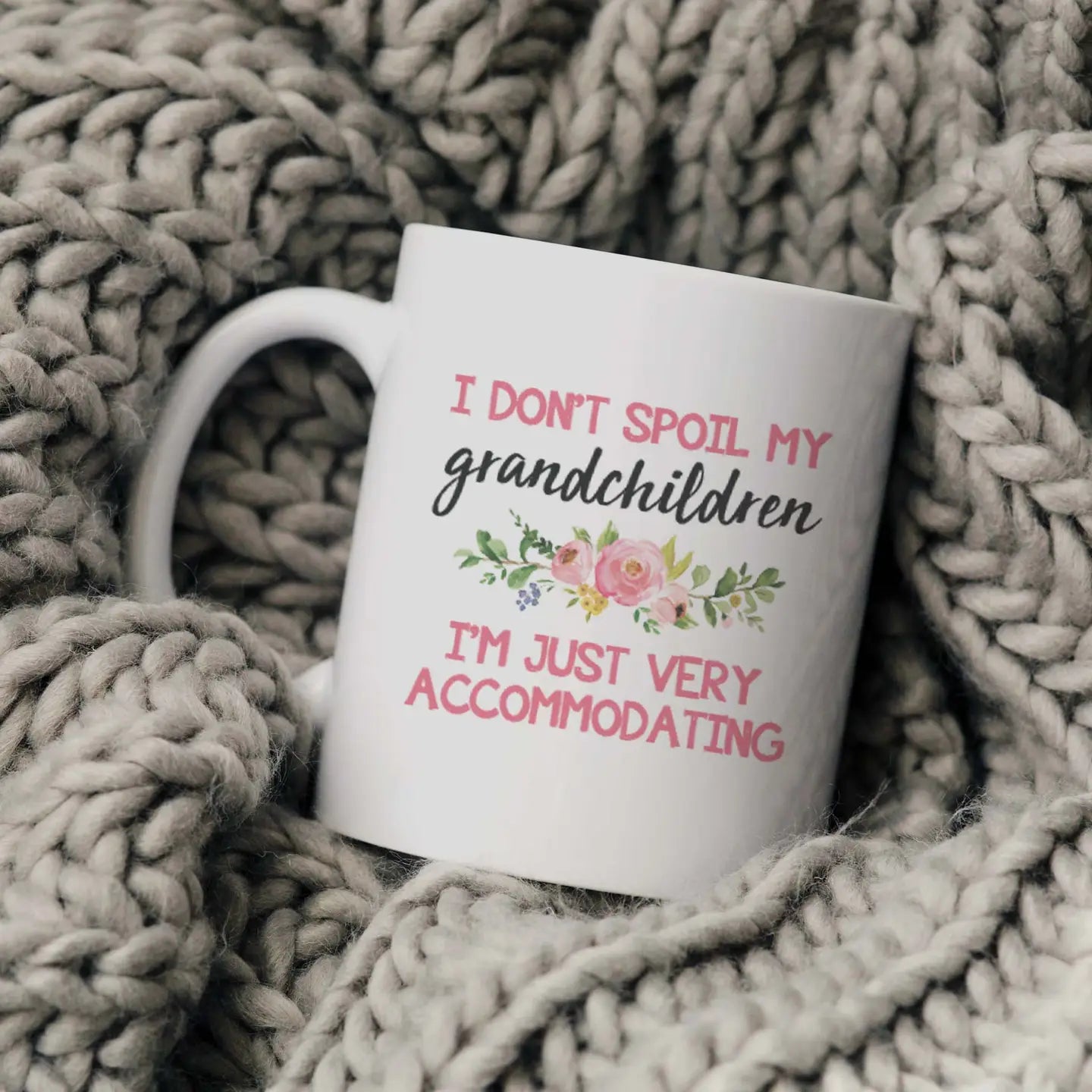 Spoil my grandchildren mug