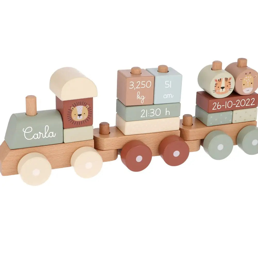 Personalized Zoo Sage Birth Train