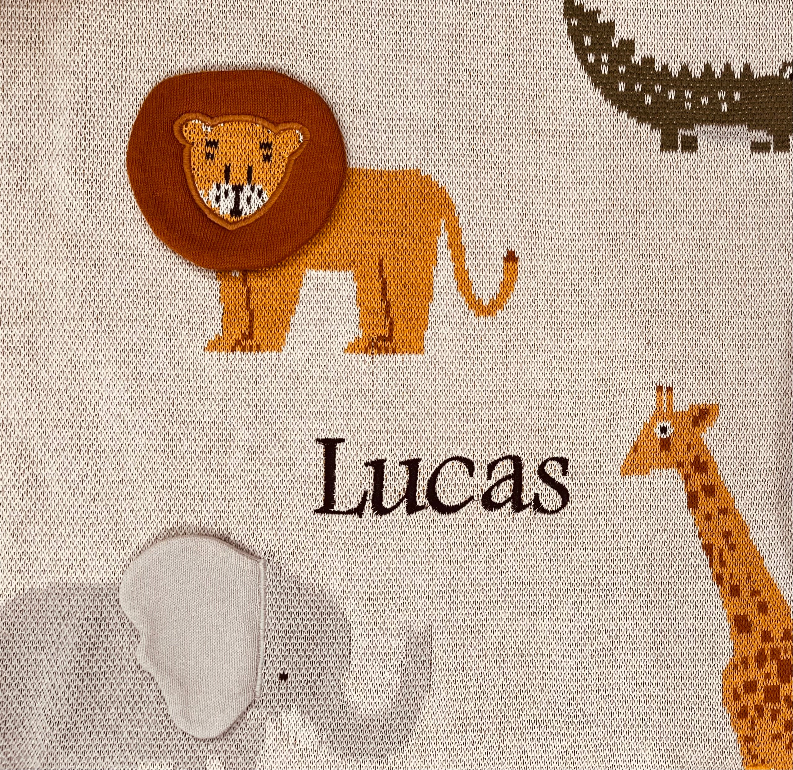 Personalized Safari Organic 3D Sweater Knit Baby Blanket