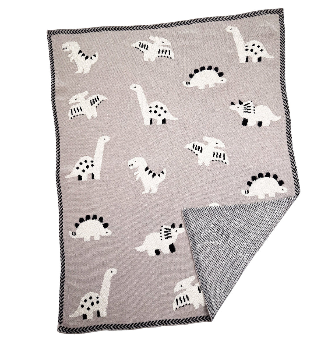 Personalized Blanket - Multi Dinosaur
