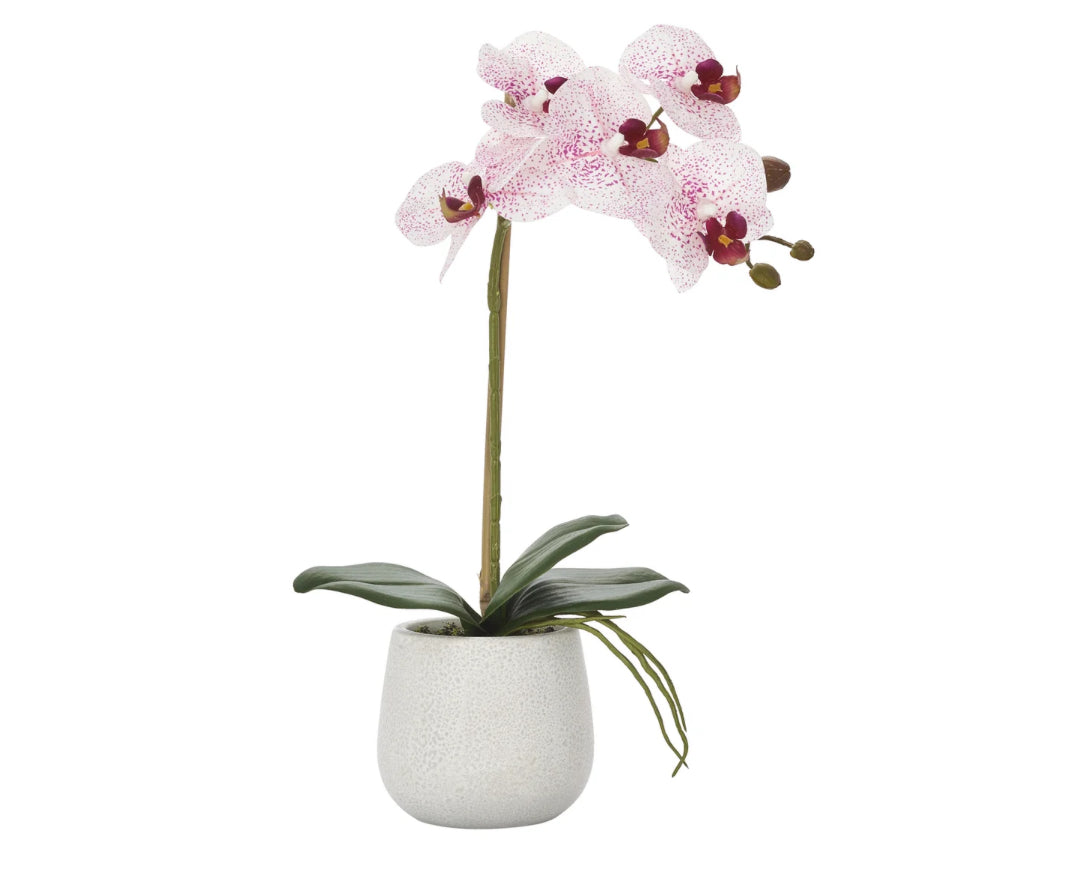 Phalaenopsis Potted Faux Single Stem 15" Orchid - Pink