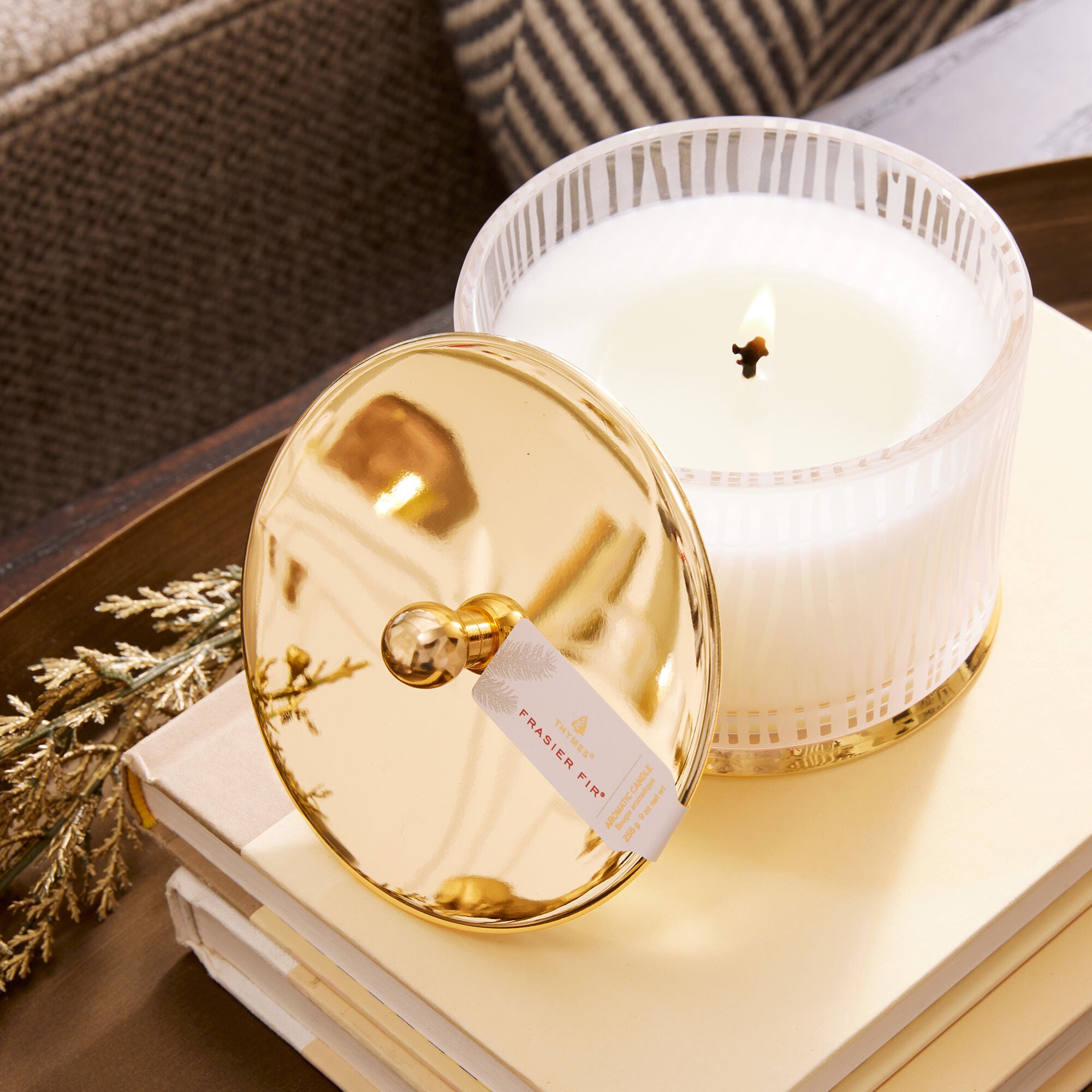 Thymes - Frasier Fir Gilded Frosted Wood Grain Candle